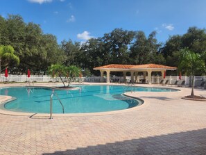 Pool - Home away from home!! Spacious 4 bedroom home!! With a fenced-in backyard!!!!! (Land O' Lakes)