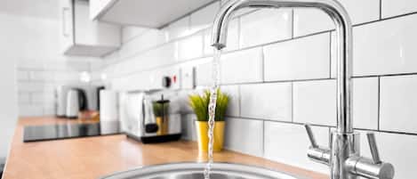 Una cocina con un lavamanos de acero inoxidable, un grifo moderno y una planta en maceta sobre la encimera.