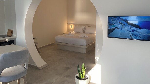 Una habitación de hotel moderna con una cama, un televisor, un escritorio y una planta en maceta.