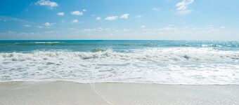 Perfect for families - Private pool, updated home!