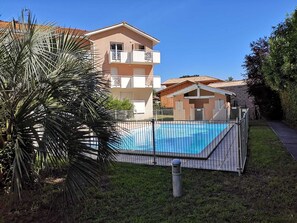 A swimming pool with a metal fence, surrounded by grass and a palm tree.