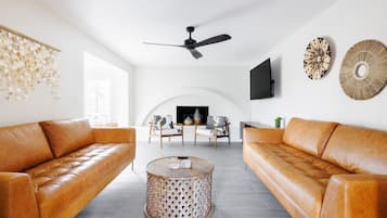 Smart TV, fireplace, books, computer monitors