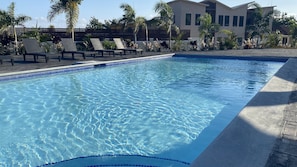A swimming pool with clear water, surrounded by lounge chairs and palm trees.