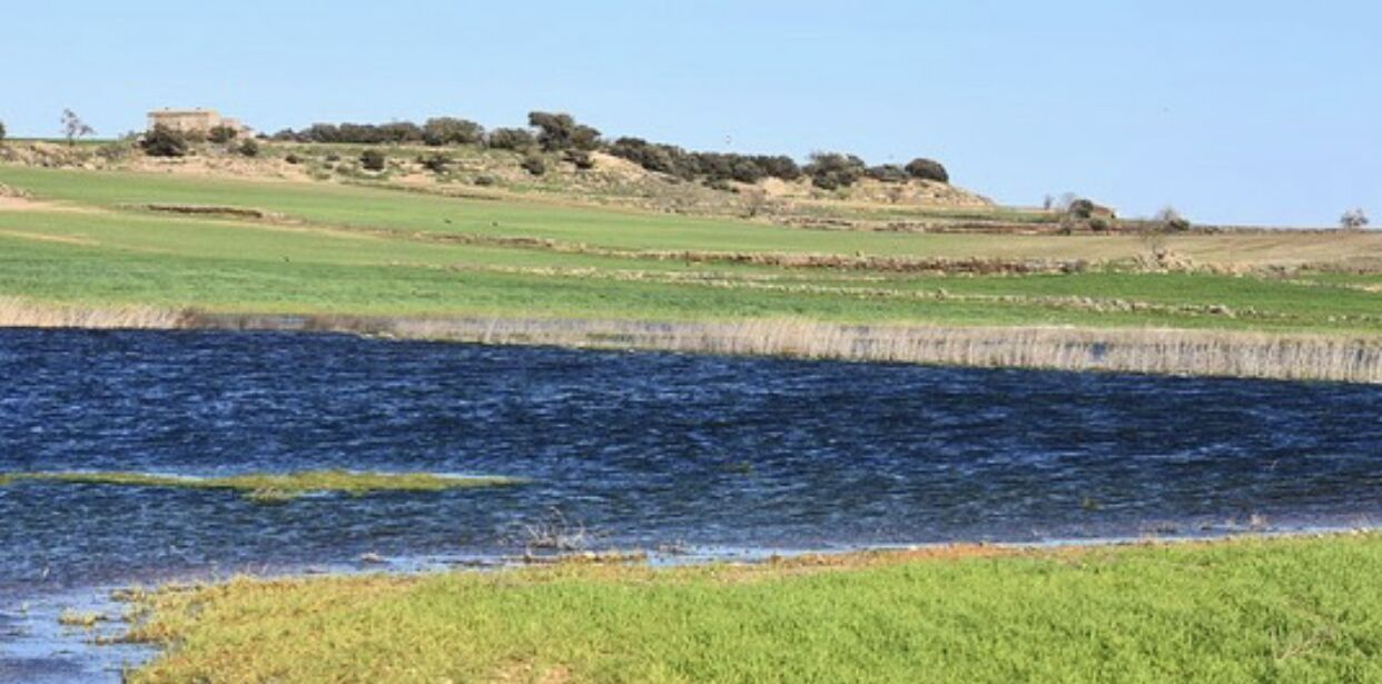 Un paysage côtier avec une étendue d’eau, des champs couverts d’herbe et un bâtiment situé au loin.