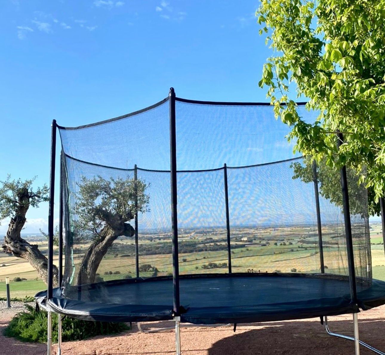 A trampoline with a safety net enclosure in an outdoor setting.