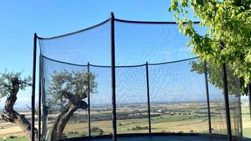 A trampoline with a safety net enclosure in an outdoor setting.