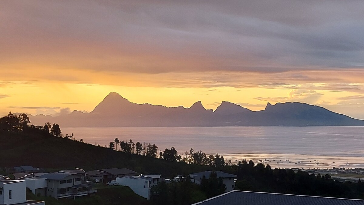 オーナーのプロフィール画像