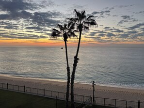 On the beach - Villa del Arco On Medano Beach 2BR Suite Beach great for Swimming and walking (Cabo San Lucas)