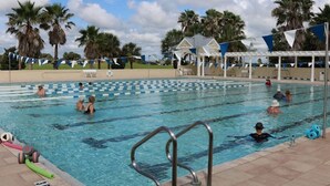 Une piscine dotée de plusieurs couloirs, bordée de palmiers, et avec un pavillon abrité en arrière-plan.
