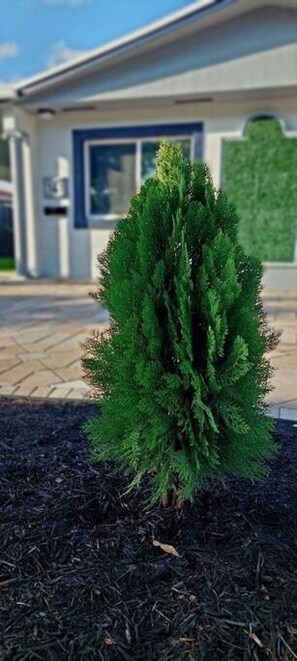 Details aan de buitenkant