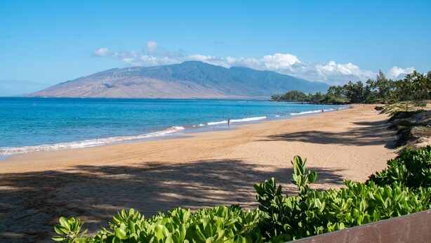 Une plage avec une montagne en arrière-plan, un ciel dégagé et une végétation luxuriante.