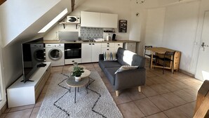 A compact living space with a kitchenette, a gray sofa, a dining table, and a hanging plant.