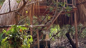 A rustic thatched-roof structure with a wooden platform and a sign reading "Maya". - Morena Beach (Moñitos)