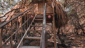 A wooden staircase leading to a thatched-roof structure surrounded by dense foliage. - Morena Beach (Moñitos)