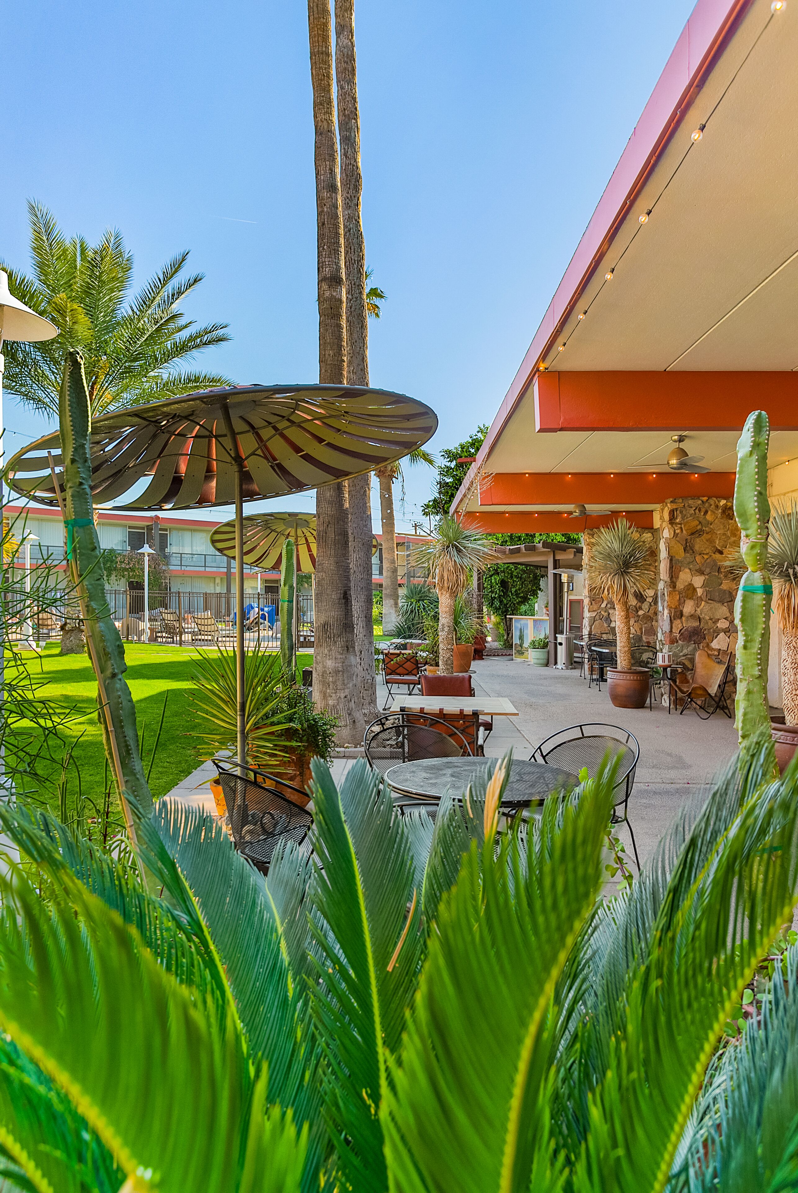 Photo - Papago Scottsdale by Reside, Trademark Collection by Wyndham