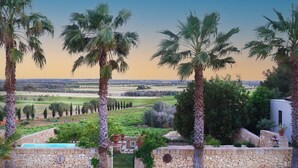 A stone wall with a pool and palm trees overlooking a vineyard.