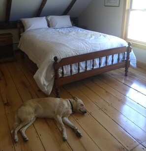 A bedroom with a wooden floor, a bed with white bedding, and a sleeping dog. - Beautiful Vermont Farmhouse with views of Mount Mansfield (Cambridge)