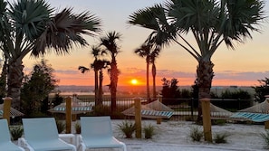 Un décor de plage avec des palmiers, des chaises longues et des hamacs.