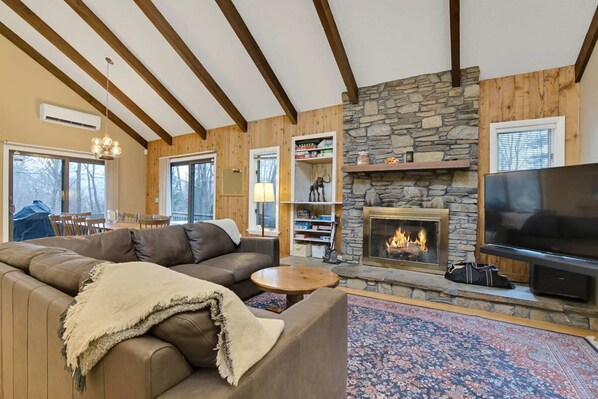 TV, fireplace, video games, stereo