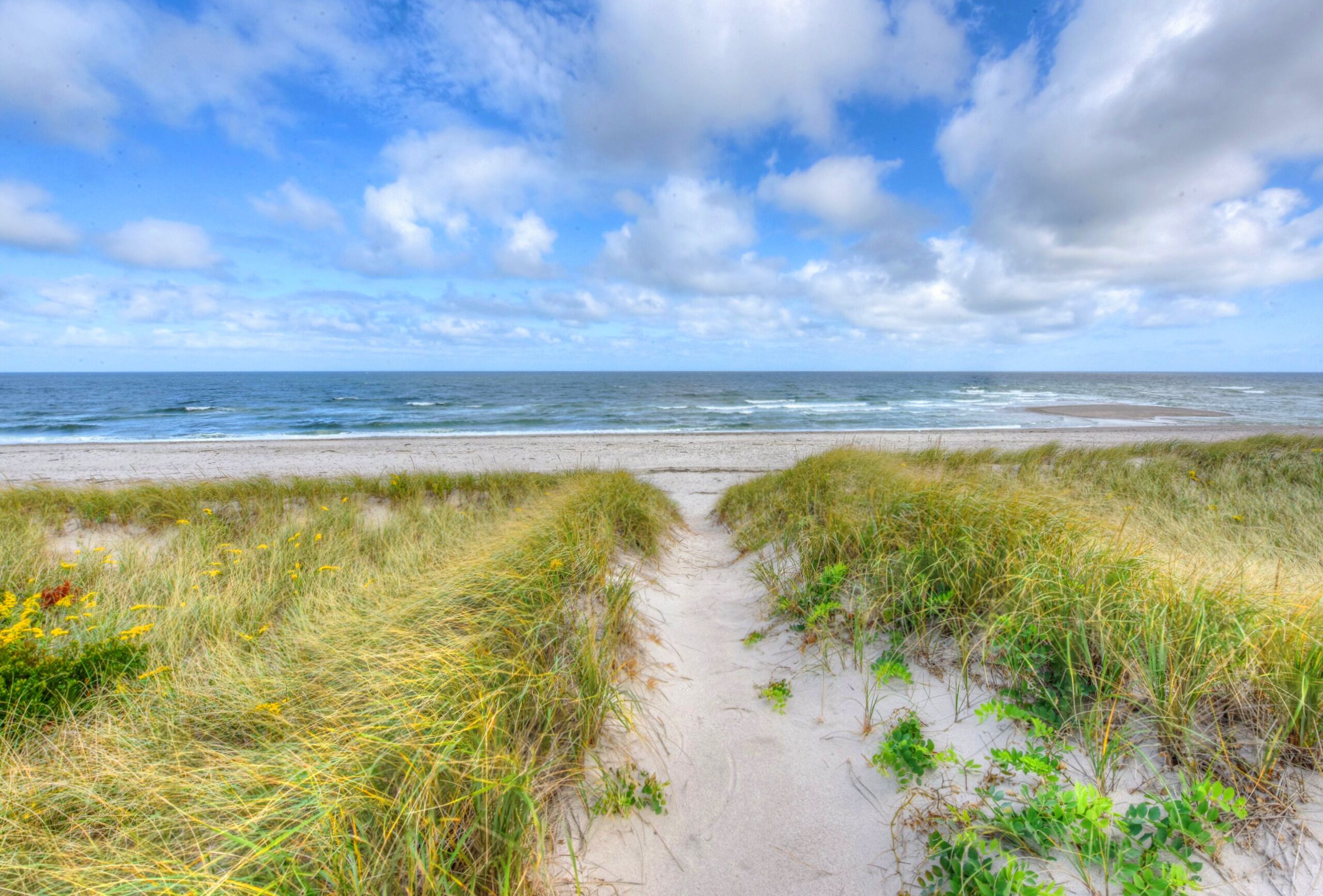 Oceanfront cottage overlooking Cape Cod Bay and Scorton Creek