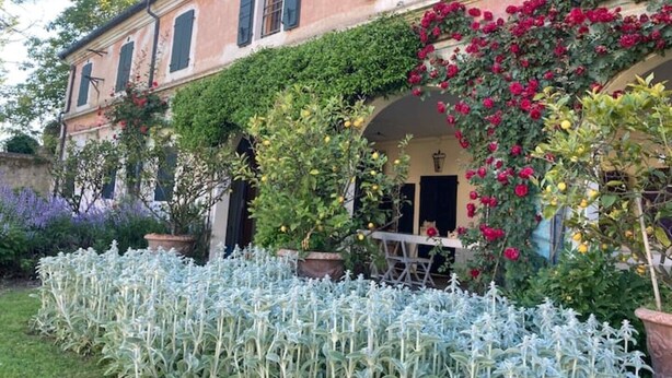 En bygning med en have foran, med forskellige planter og blomster.