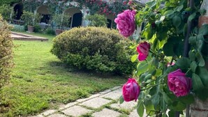 En have med en sti, der fører hen til en bygning med buede vinduer og en rosa facade.
