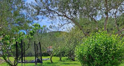 Apartments Gordana
