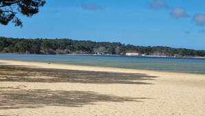 A beach with clear water, a sandy shore, and a forested area in the background. - Very bright Scandinavian chalet located 3 min. from the lake and 10 min. of the (BISCARROSSE)