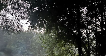 Charming & Cozy River Front Cabin- Close to ski mountains. Ski,Fish,Swim & Hike!