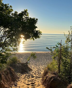 Ein Küstenpfad, der zum Meer führt, gesäumt von Bäumen.