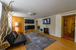 Televisión y chimenea 