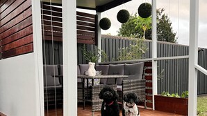 A covered patio area with a wooden deck, a seating arrangement, and two dogs. - Newly Listed and Centrally located , walk to restaurant's , cafes and shopping , (Boondall)