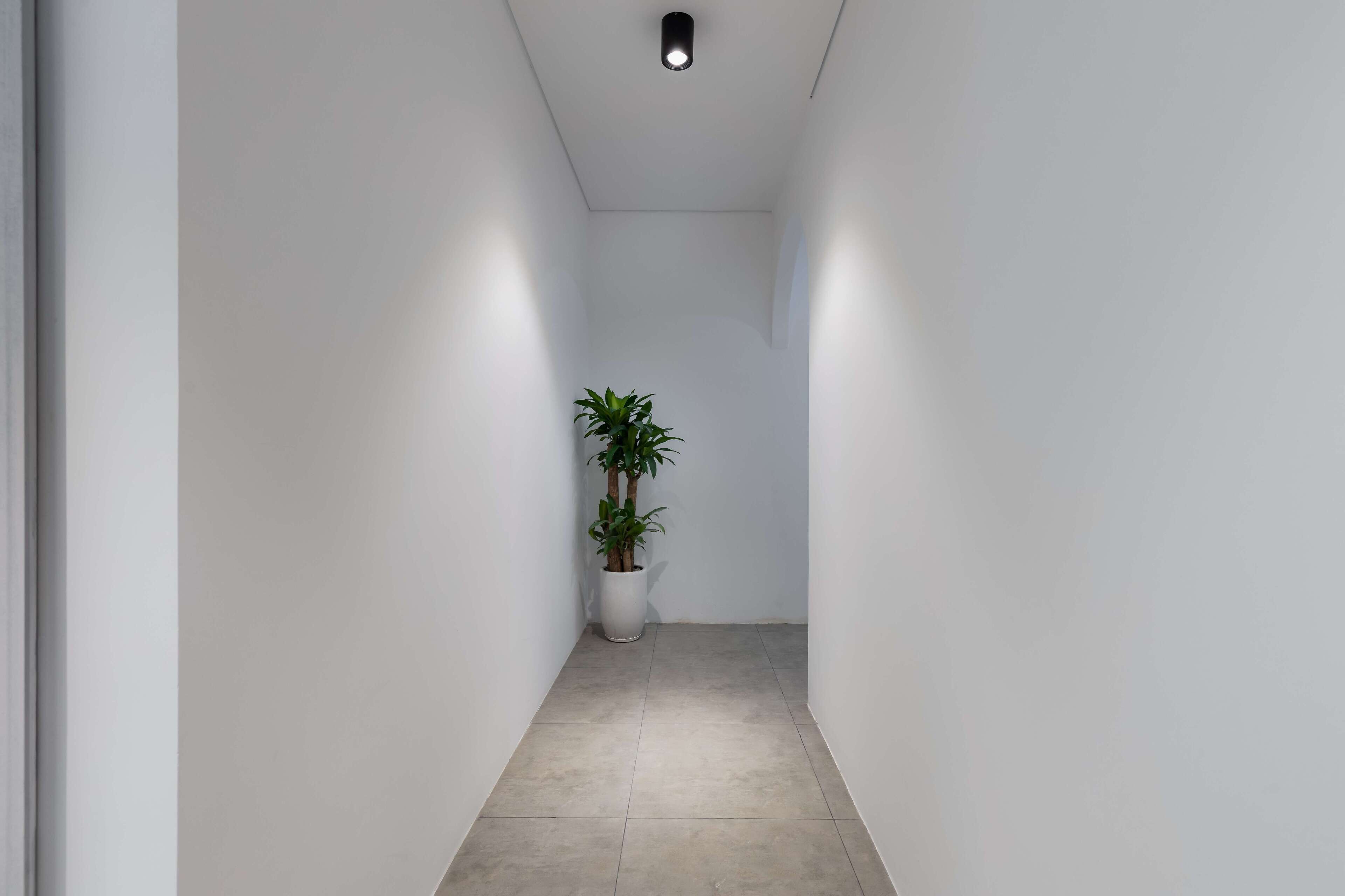 A narrow, well-lit hallway with white walls and a tiled floor. A potted plant is placed in the center.