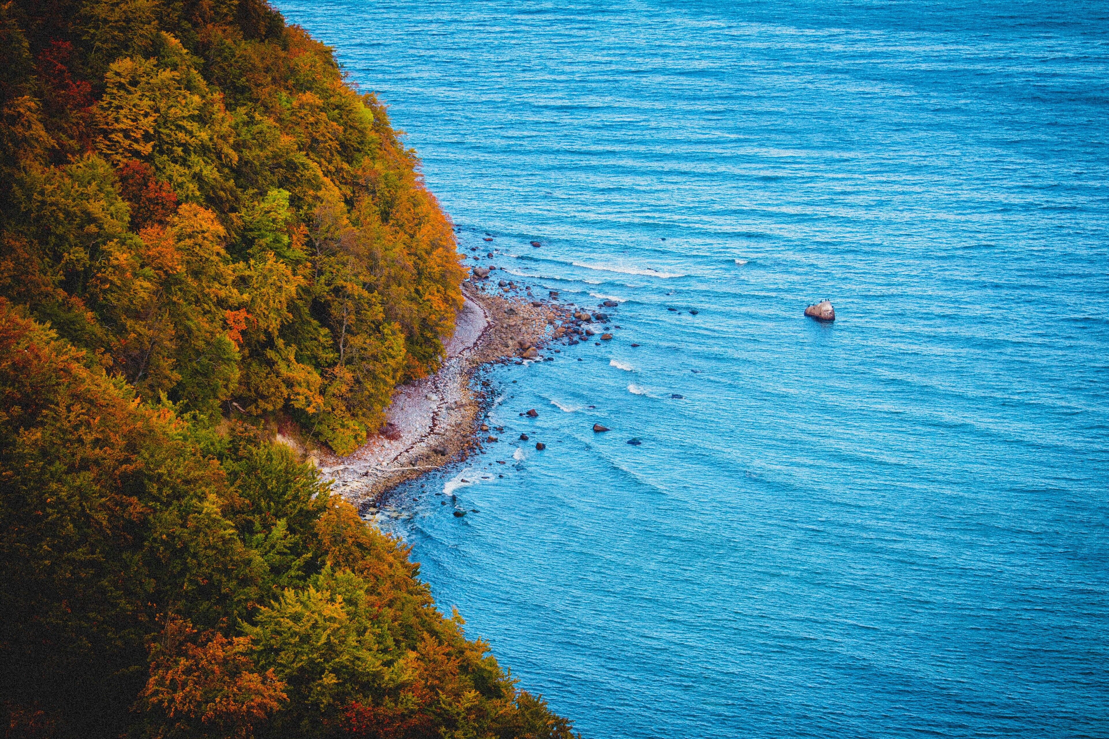 A coastal landscape with a rocky shoreline and dense forest.