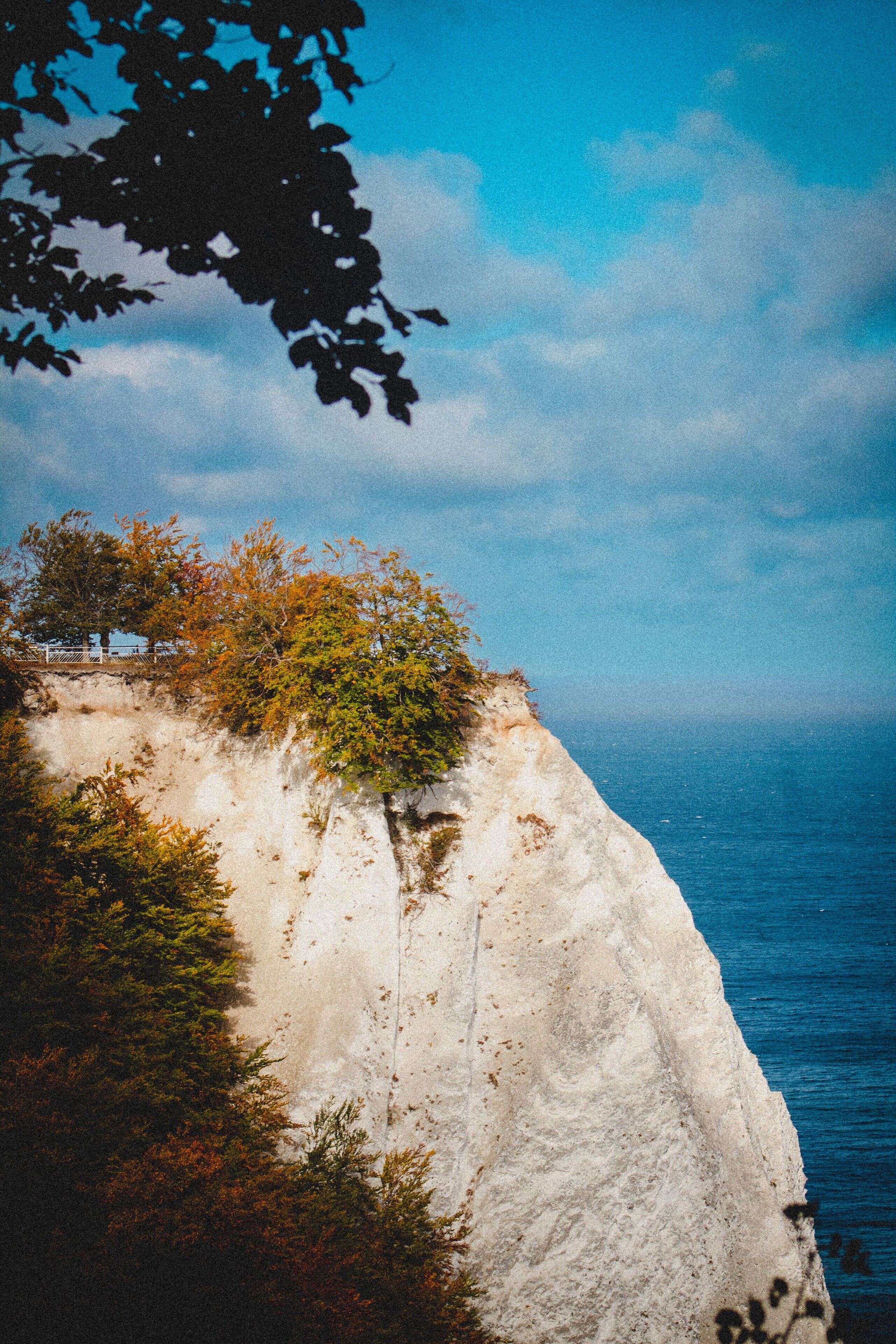Une falaise côtière, couverte de végétation, sous un ciel dégagé.