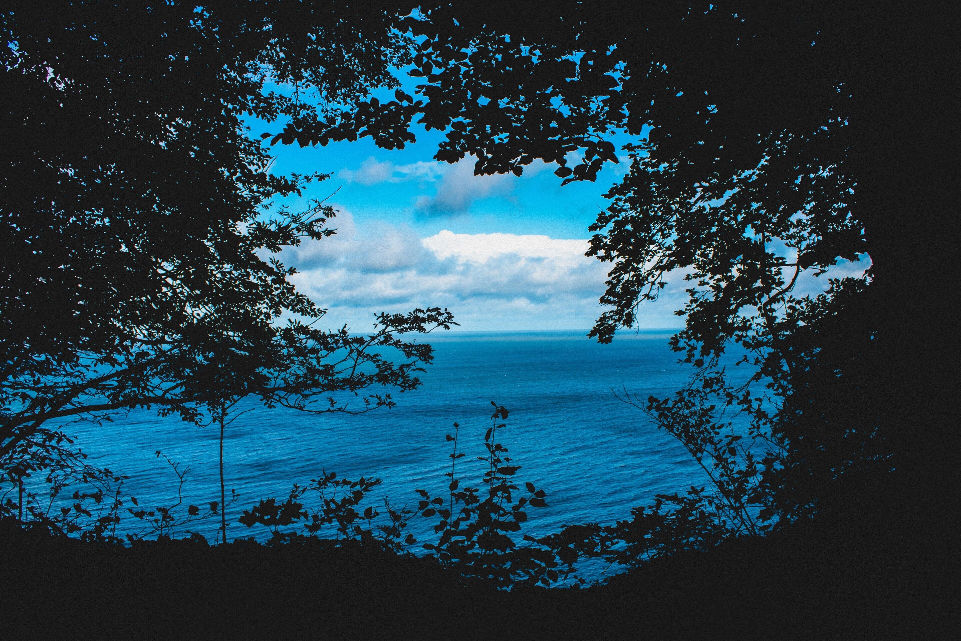Blick durch Baumzweige auf ein Gewässer unter einem teils bewölkten Himmel.