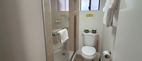 Un baño con ducha de vidrio, inodoro y ventana.