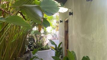 Un estrecho sendero de hormigón bordeado de grandes plantas verdes y un edificio blanco con techo oscuro.