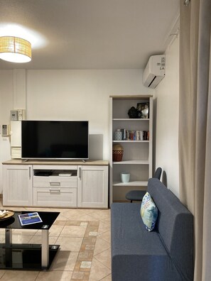 TV, DVD player, books