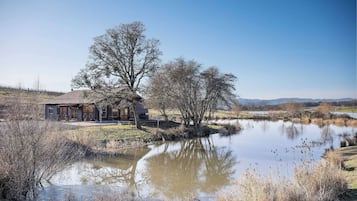 Jardines del alojamiento