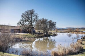 Property grounds - Picturesque Lakeside Setting, Patio Seating w Fire-Pit, Surrounded by Vineyards, On Solena Estate (Yamhill)