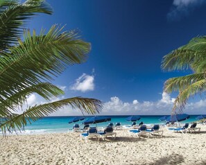 A beach with white sand, clear blue water, and palm trees. There are blue lounge chairs and umbrellas. - Stay on the Beach in Barbados! 2 Rooms w/ Kitchen, Balcony & Private Beach (Oistins)