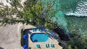 An aerial view of a pool area with a clear blue pool, surrounded by lounge chairs and umbrellas, with a rocky shoreline and trees in the background. - Stay on the Beach in Barbados! 2 Rooms w/ Kitchen, Balcony & Private Beach (Oistins)