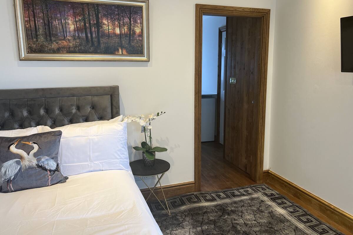Suite Deluxe | 1 camera, una scrivania, ferro/asse da stiro, Wi-Fi gratuito