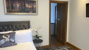 Deluxe Suite | Desk, soundproofing, iron/ironing board, free WiFi