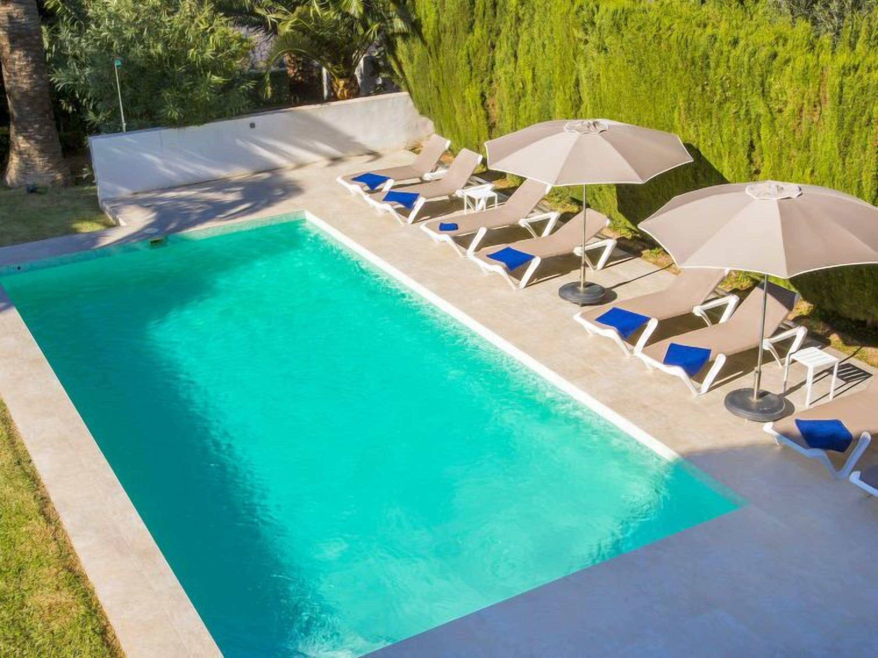 A rectangular swimming pool with clear blue water, surrounded by lounge chairs and umbrellas, set against a backdrop of neatly trimmed hedges and a palm tree.