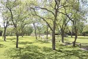 Property grounds - Deb's Retreat | Recently Updated |First Floor (New Braunfels)