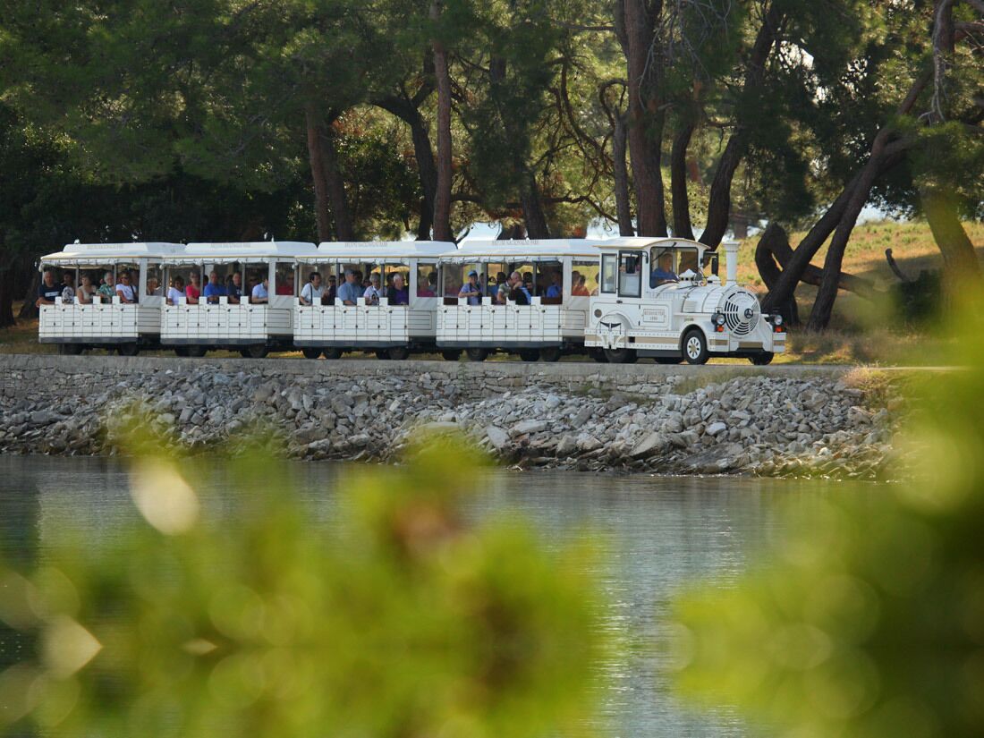A white train with passengers, traveling along a stone path beside a body of water, surrounded by trees.