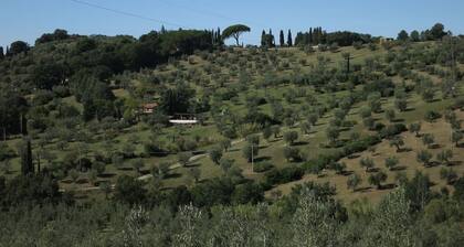 Gatto Nero - Located on beautiful hills with island view only 8 Km From The Sea!