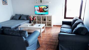 Fernseher